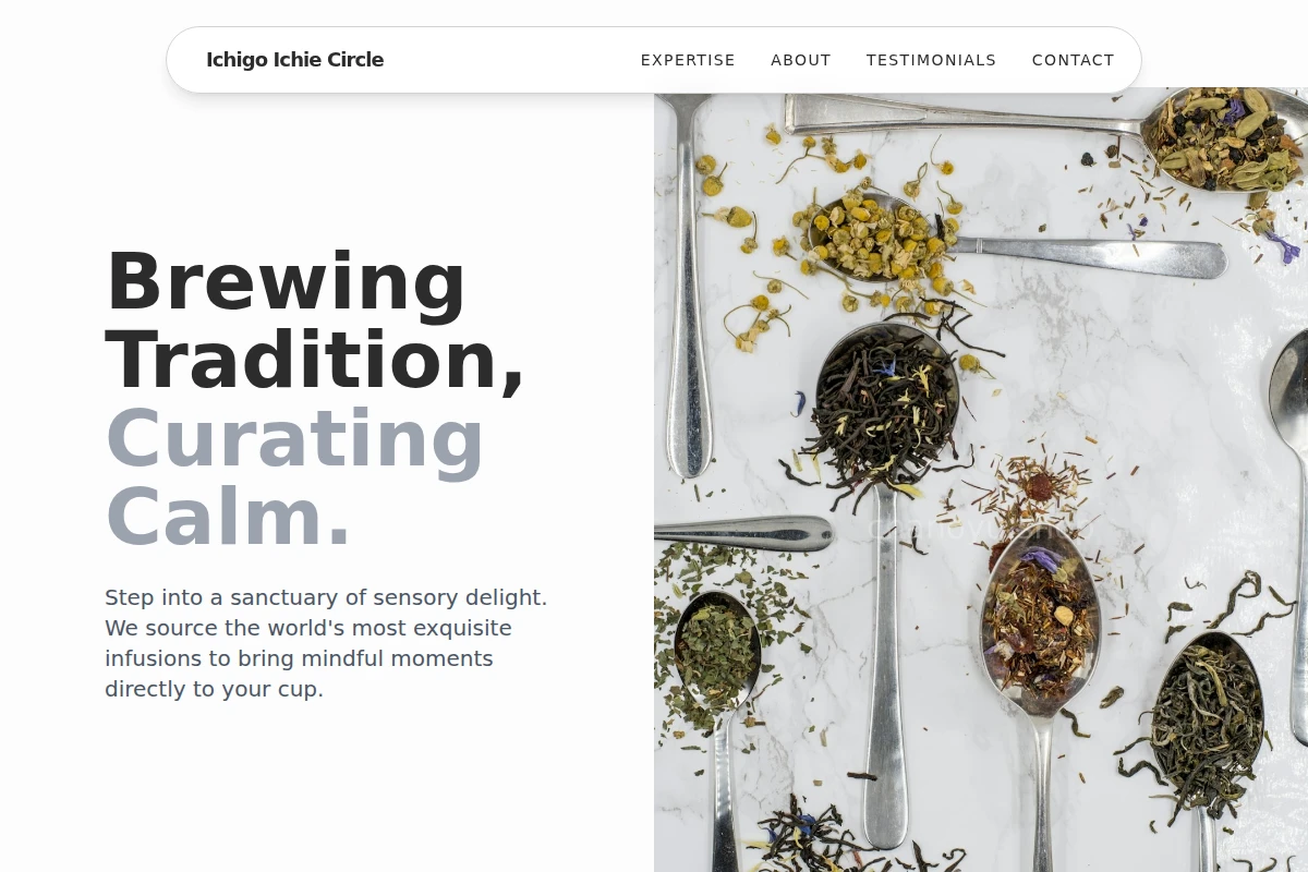 Infusion Tea