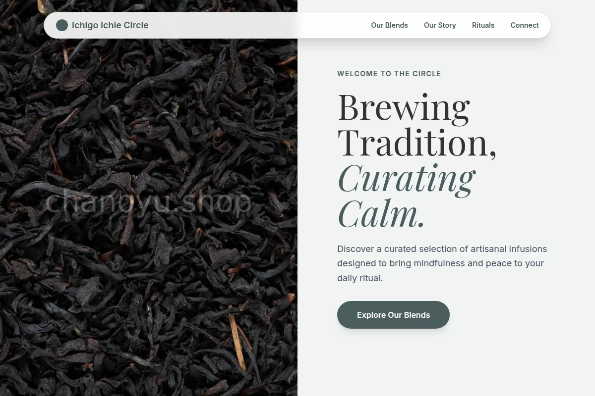 Infusion Tea